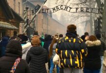 Quem se importa com o “Holocausto”?