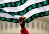 Os conservadores não entendem a simples questão da maconha