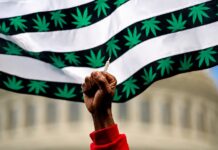 Os conservadores não entendem a simples questão da maconha