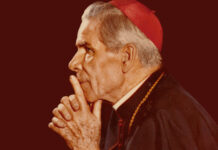 Fulton Sheen e eu